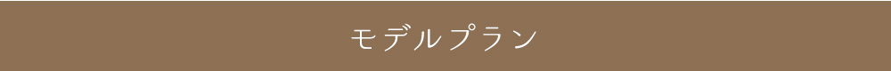 モデルプラン