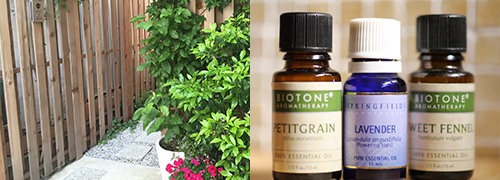 サロンイメージ