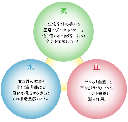 気血水イメージ
